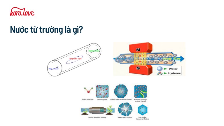 Cách sản xuất nước từ trường.