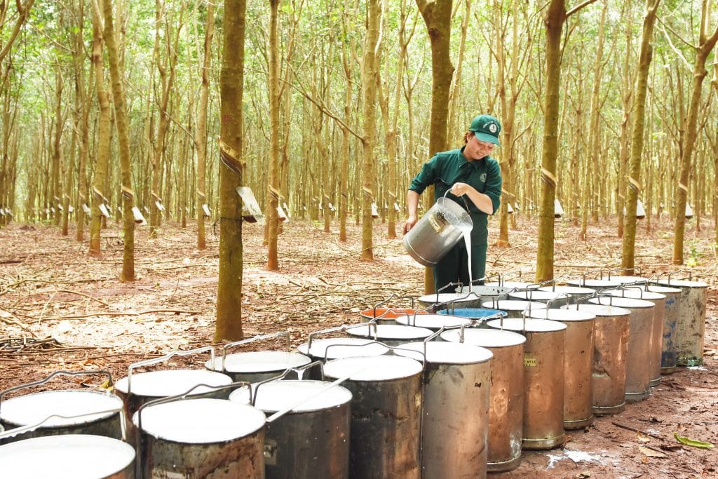 Song nông nghiệp sau đó thua lỗ nhiều năm vì giá cao su lao dốc, doanh nghiệp luôn chịu áp lực xử lý nợ.