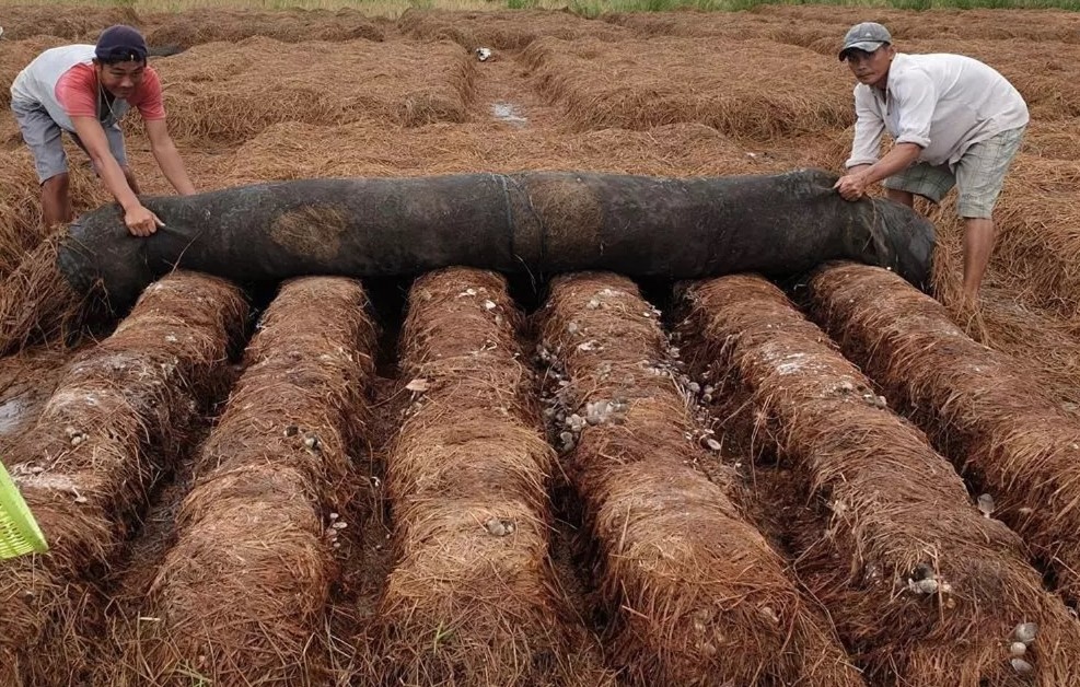 Giữ lại và tái chế chất thải nông nghiệp là một phần không thể thiếu trong nông nghiệp tái sinh. 