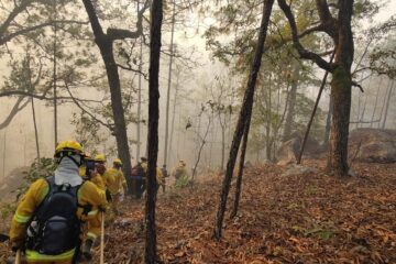 Incendio forestal