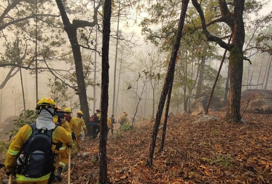 Incendio forestal