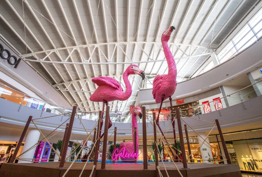 Una fotografía con los flamingos es un buen recuerdo