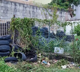 Llantas en un terreno