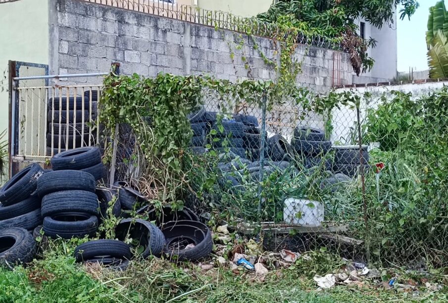 Llantas en un terreno