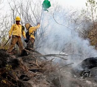 Bomberos sofocando incendio.