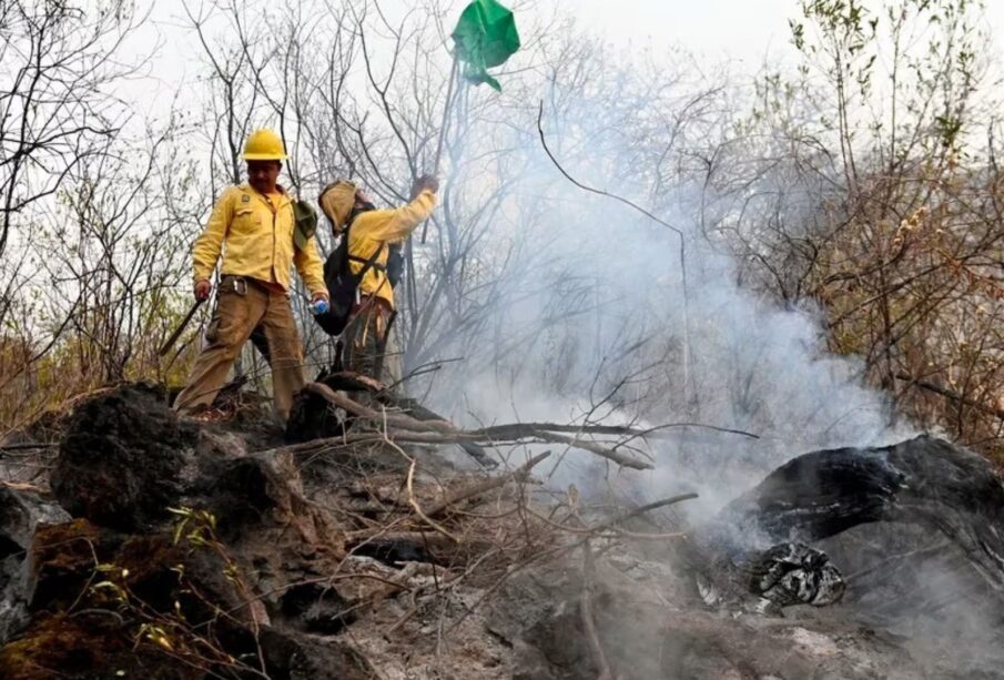 Bomberos sofocando incendio.