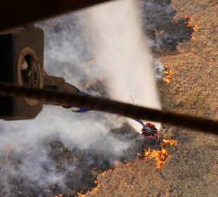 Incendio en hawaii