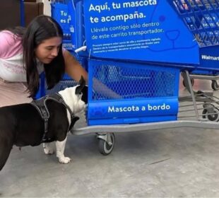 Supermercado ya cuenta con carritos en los que se pueden transportar mascotas