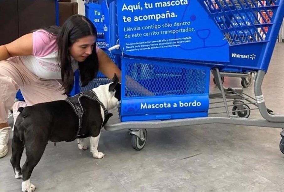 Supermercado ya cuenta con carritos en los que se pueden transportar mascotas