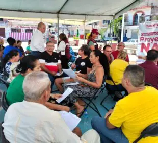 Consulta del Proyecto de Nación
