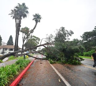 Afectaciones en California por Hilary