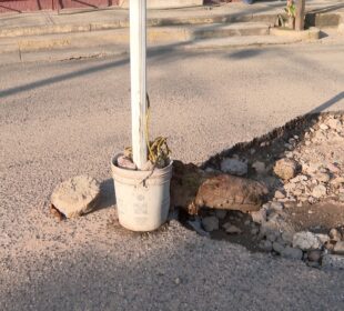 Bache en la Morelos y Pavón.