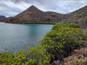 Parque Nacional Loreto II BCS