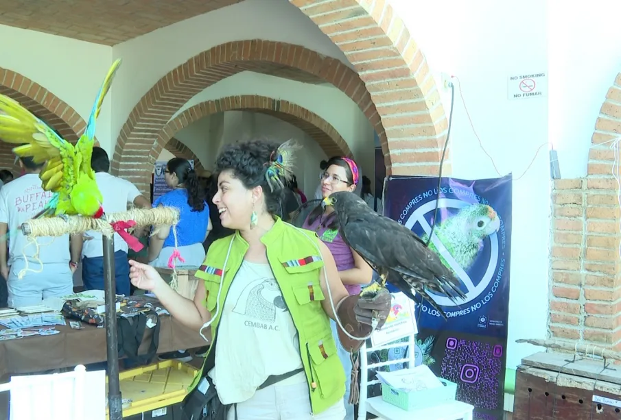 Mujer con aves en la feria ecológica