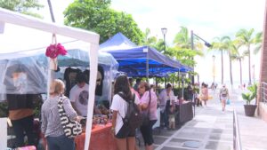 Vendimia de productos en el corazón de PV