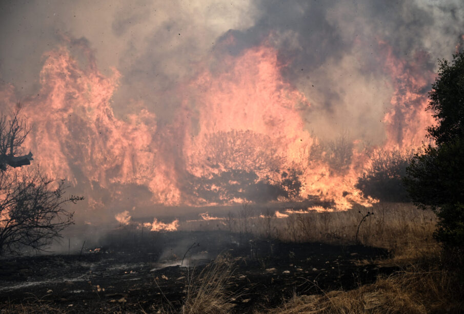 Incendio forestal en Grecia chica