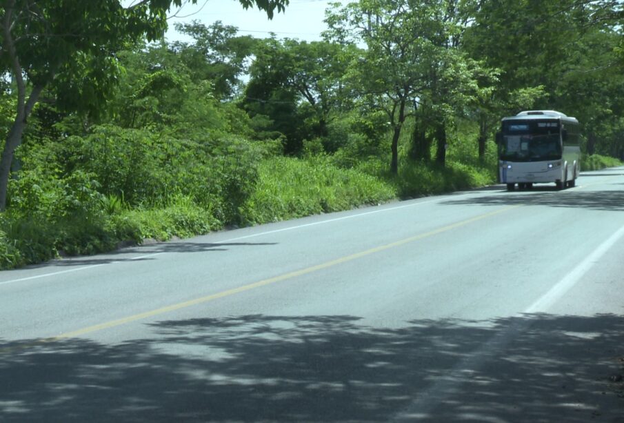 Transporte de Las Palmas