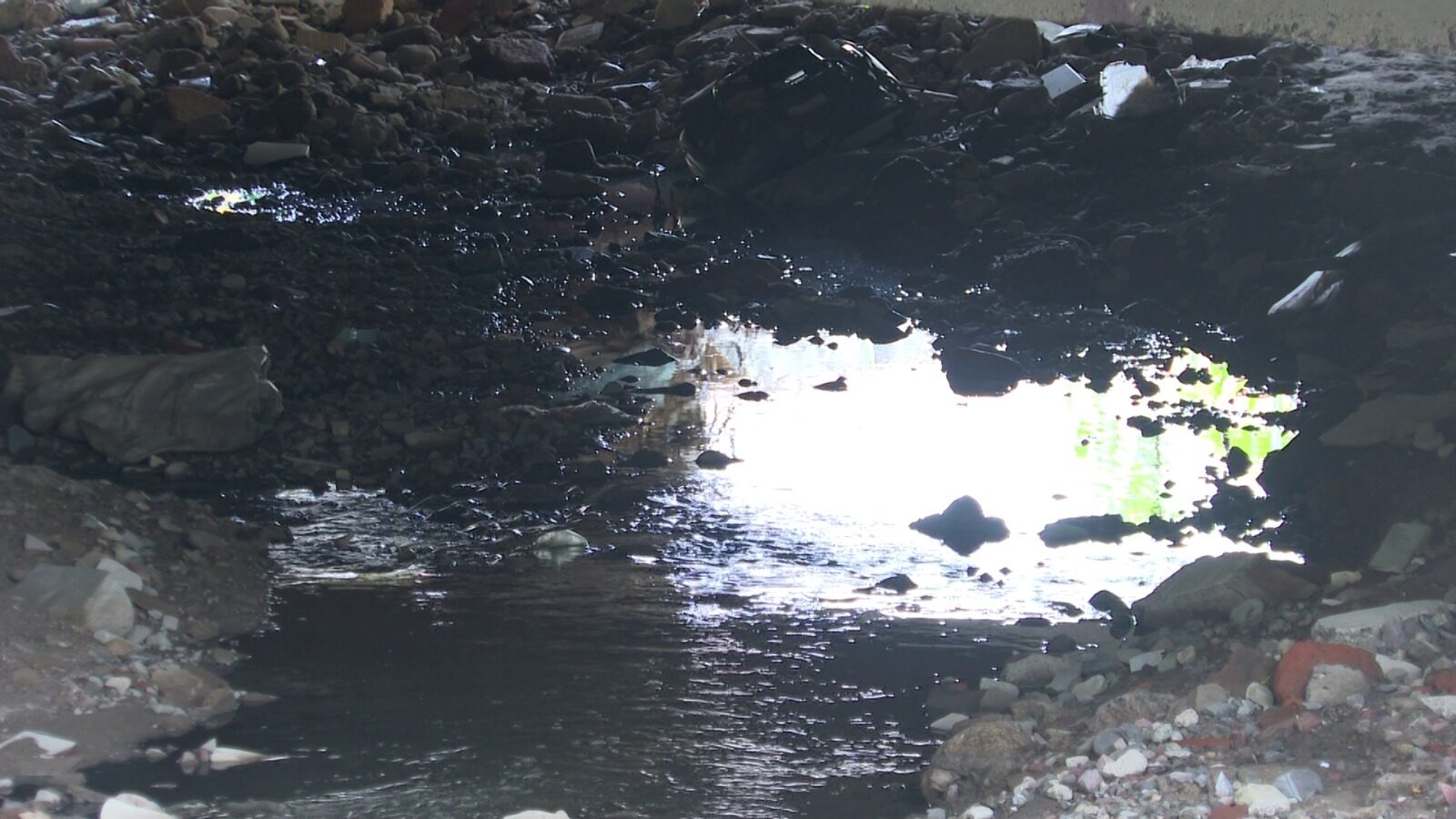 Aguas negras en la colonia Del Toro.