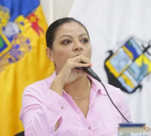 Guadalupe Guerrero