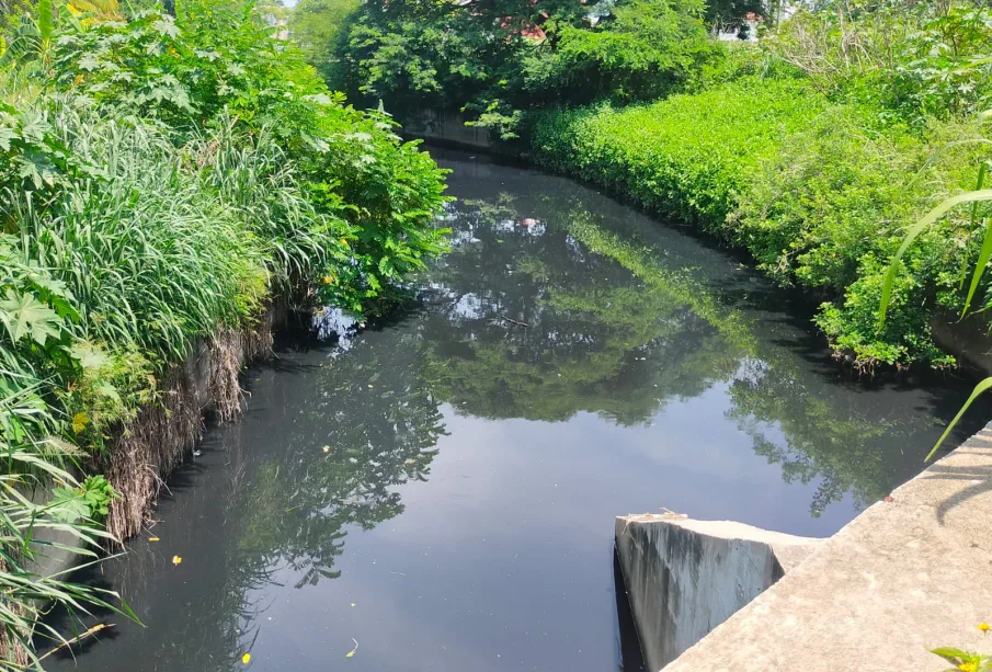 Río de aguas negras