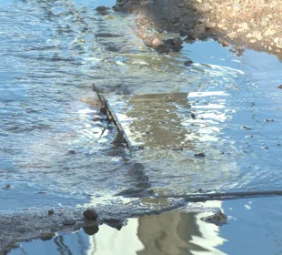 Aguas negras en Puerto Vallarta