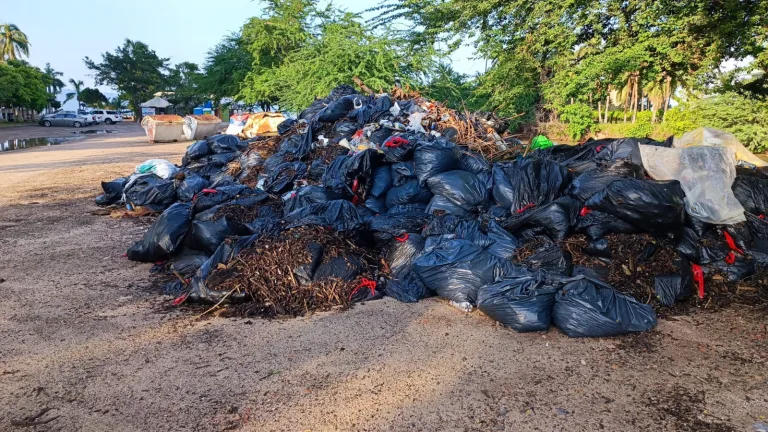 Decena de bolsas negras con basura abandonadas