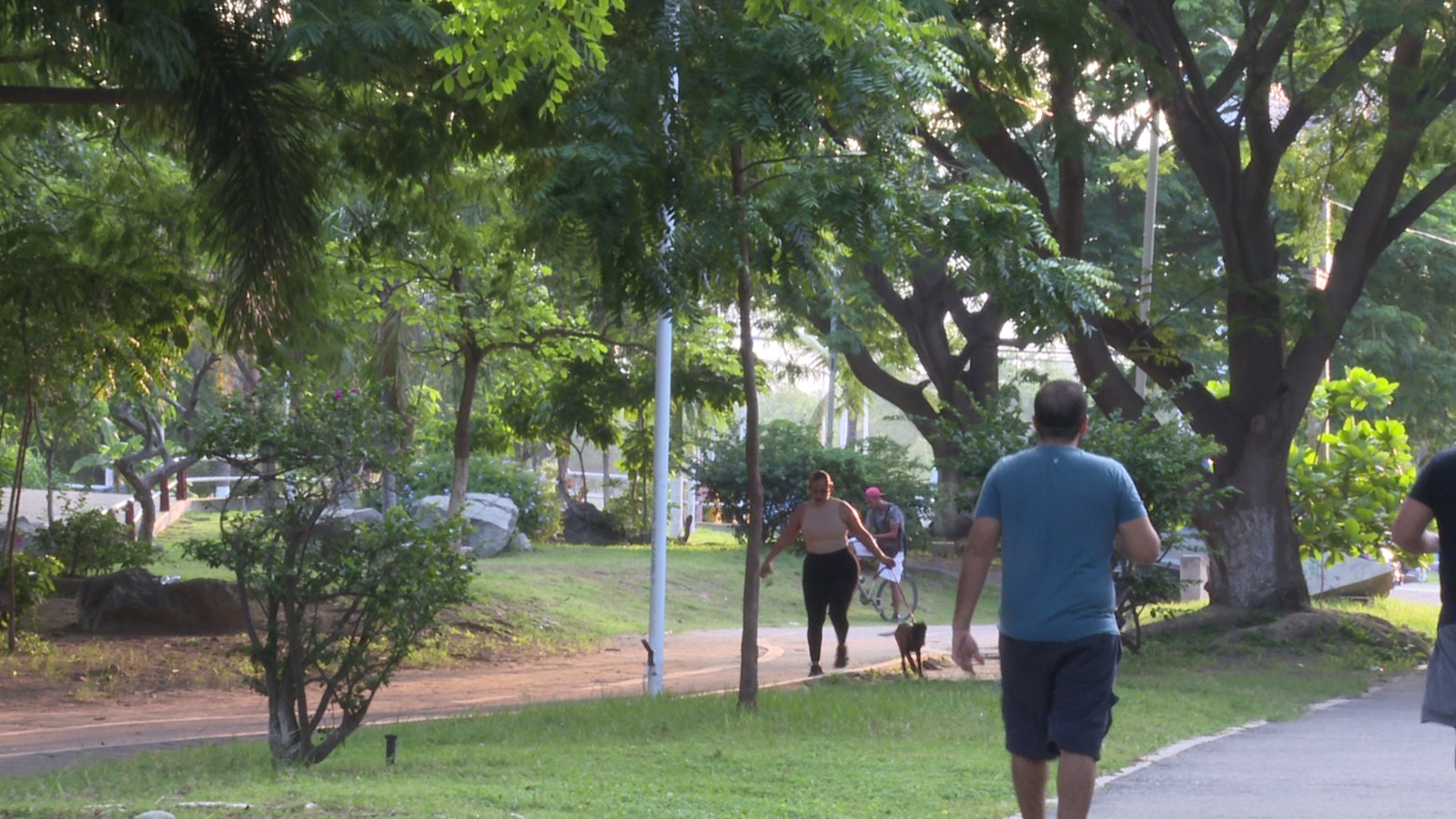 Mujeres corriendo en el parque lineal