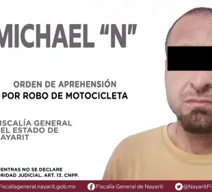 Ficha de Michel "N", detenido por robo