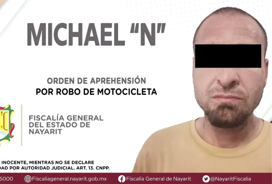 Ficha de Michel "N", detenido por robo