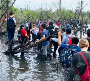 Estudiantes en reforestación de El Salado