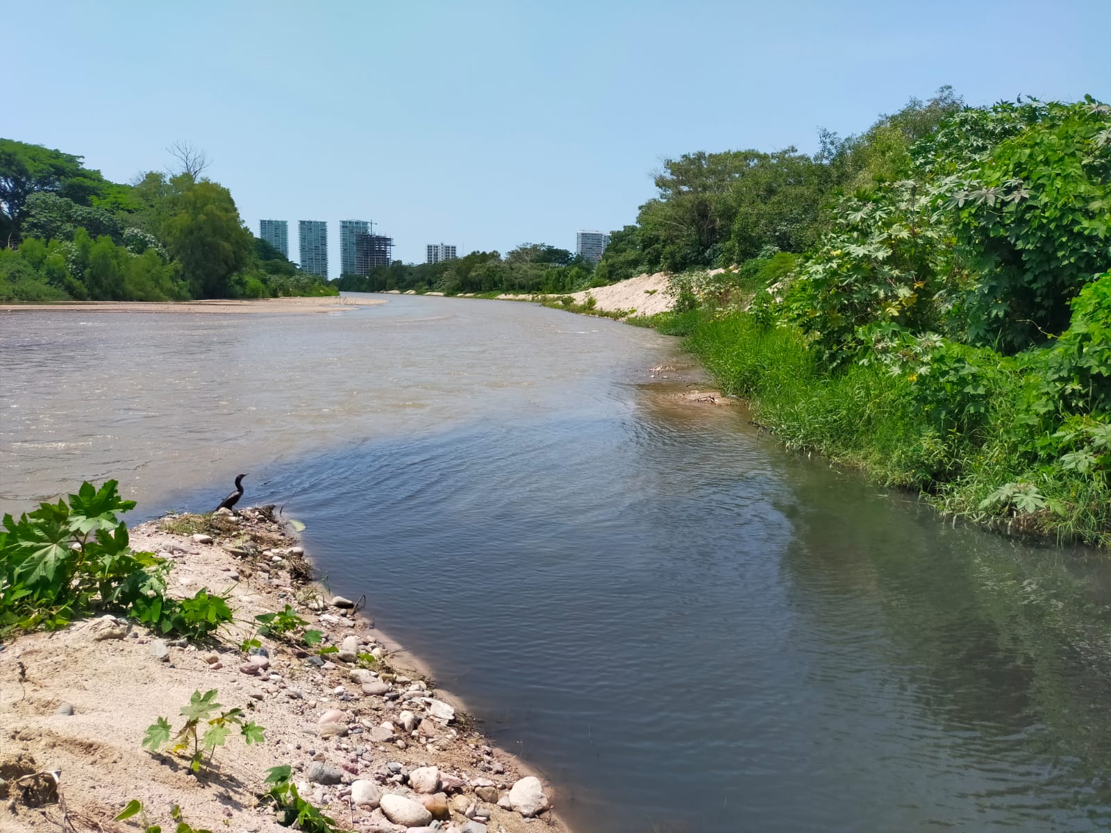 Desembocadura de aguas negras en el Río Pitillal