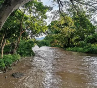 Arroyo La Ceiba