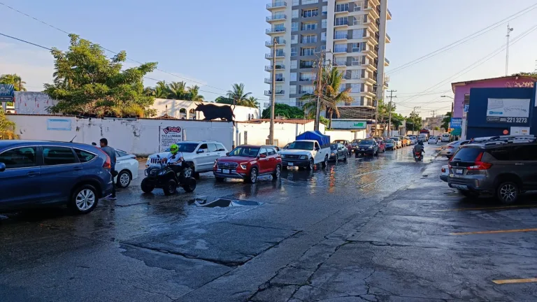 Fila de vehículos en calle