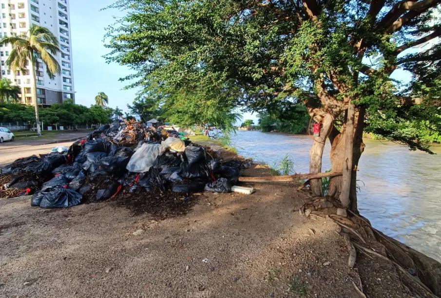 Basura a la orilla del Río Pitillal