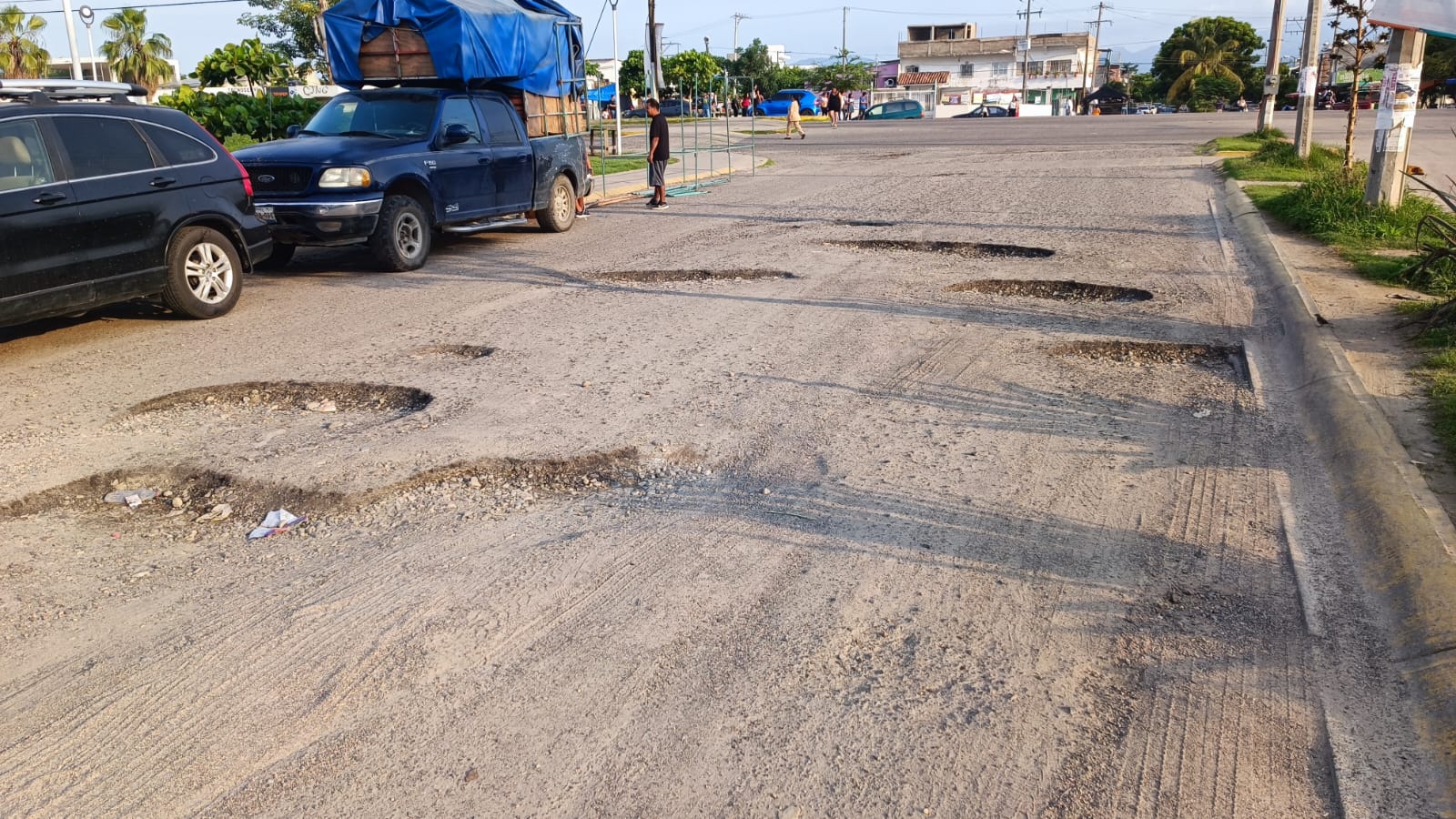 Calle llena baches en Jardines del So.