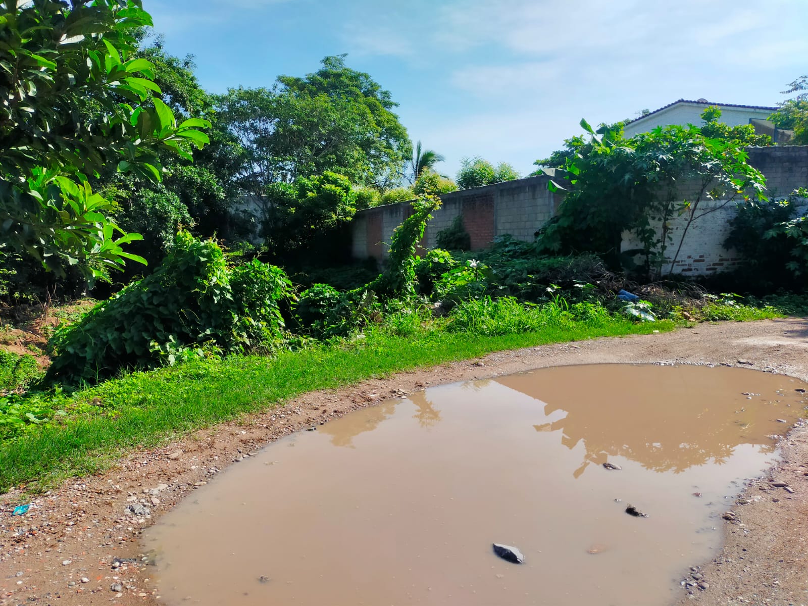 Calle sin pavimentar con lodo en La Floresta