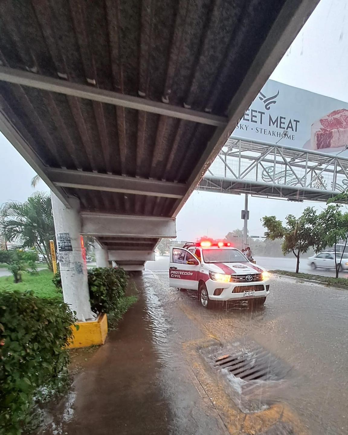 Charcos junto a un puente