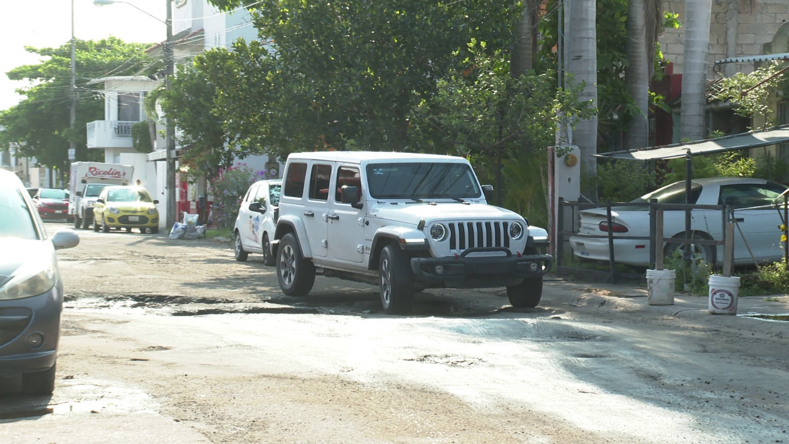 Bache en Valle Dorado.