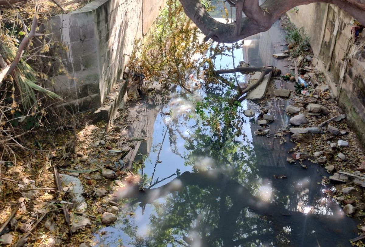 Agua estancada en el río Pitillal