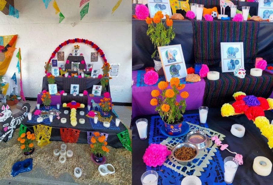 Altar del Día de Muertos