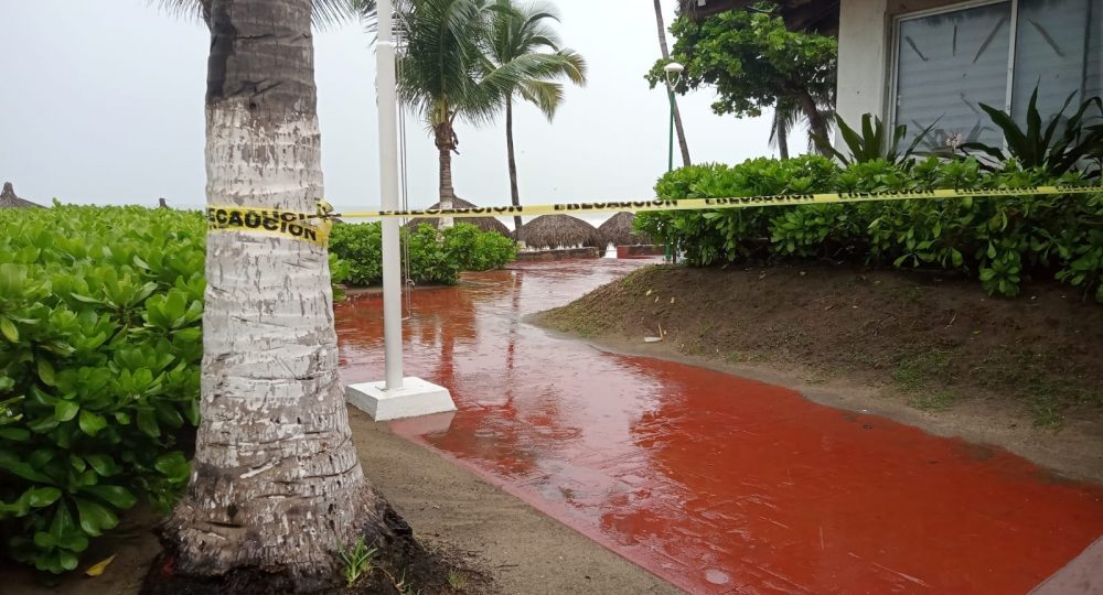 Así luce Bahía de Banderas ante la llegada de Lidia