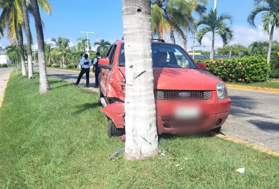 Automóvil rojo impactado contra palmera