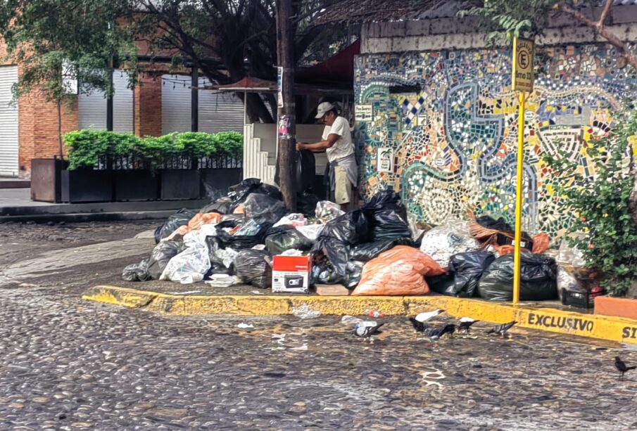 Basura en Zona Romántica