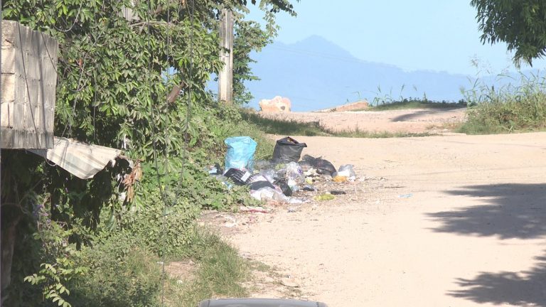 Basura tirada en calle