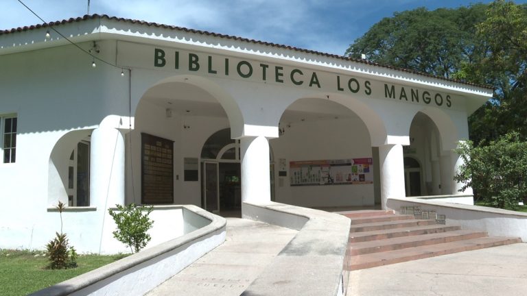 Biblioteca Los Mangos