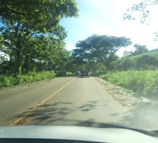 Carretera estatal 544 tras el huracán Lidia