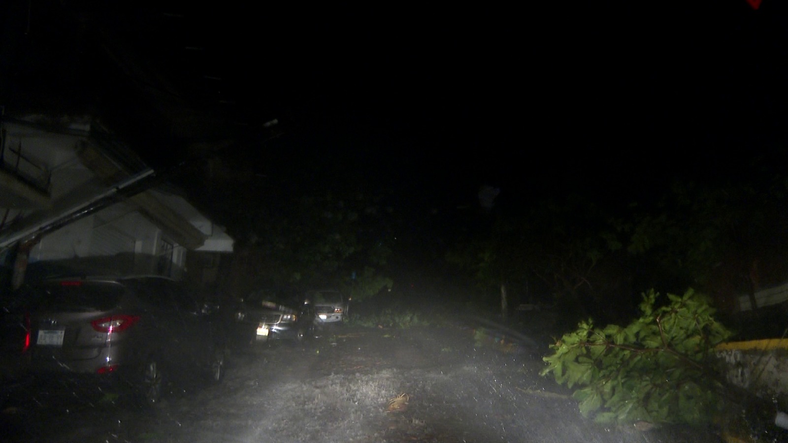 Carretera llena de ramas en huracán Lidia