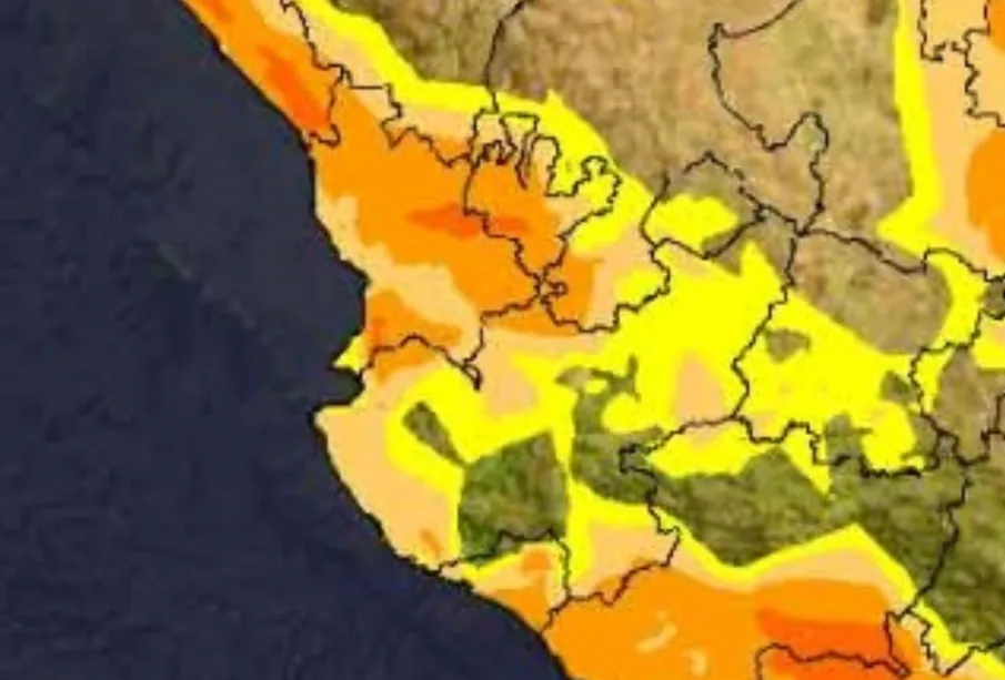 Pronóstico del clima.