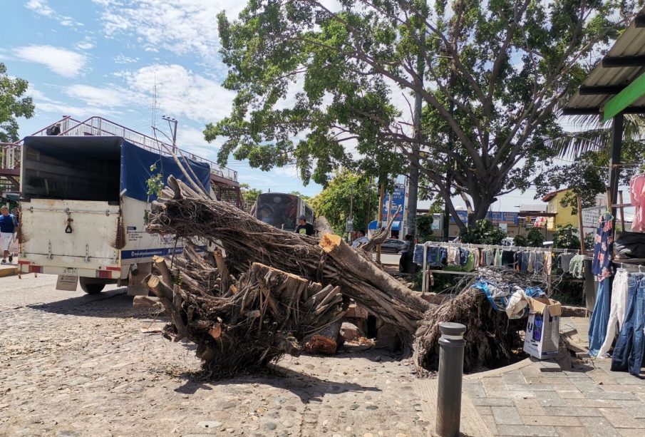 Se limpia el arroyo