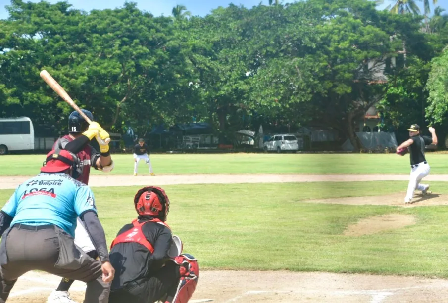 Liga de Beisbol